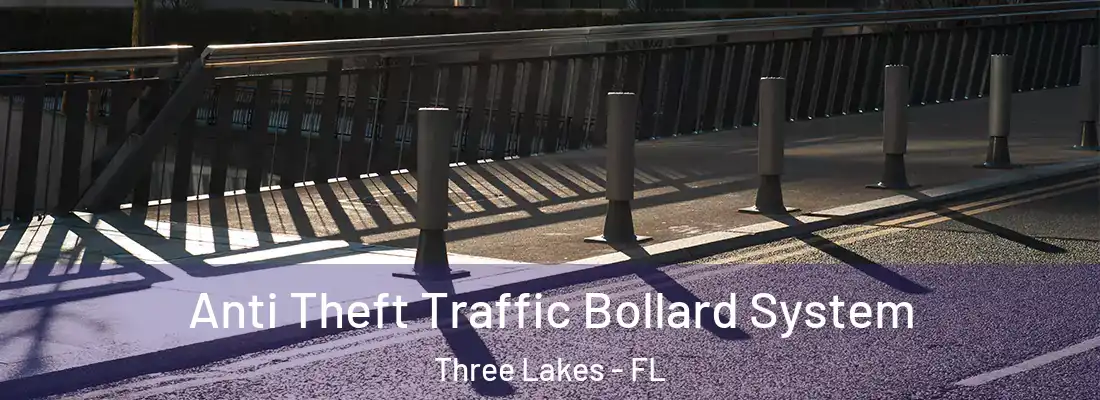  Anti Theft Traffic Bollard System Three Lakes - FL