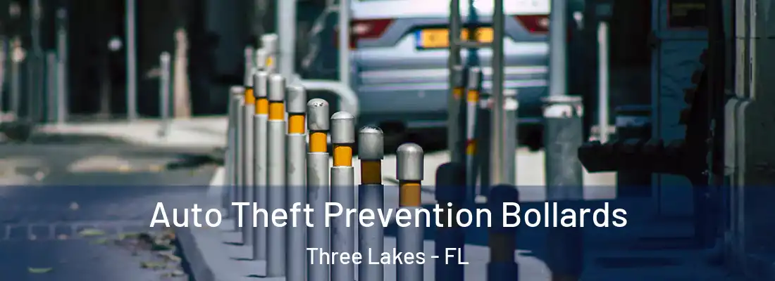  Auto Theft Prevention Bollards Three Lakes - FL