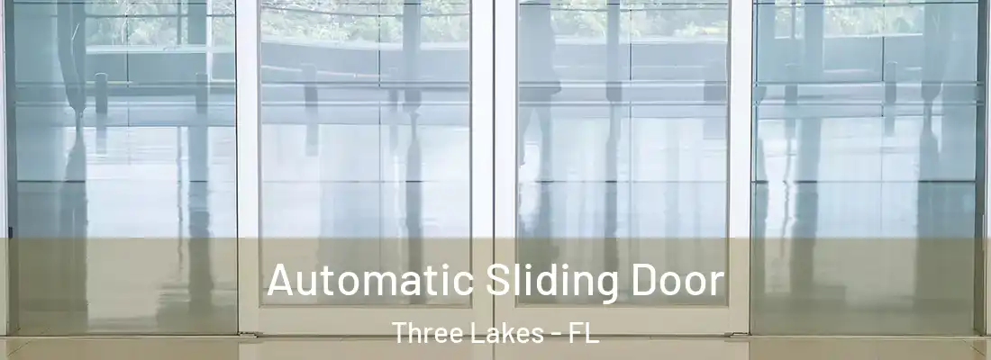  Automatic Sliding Door Three Lakes - FL