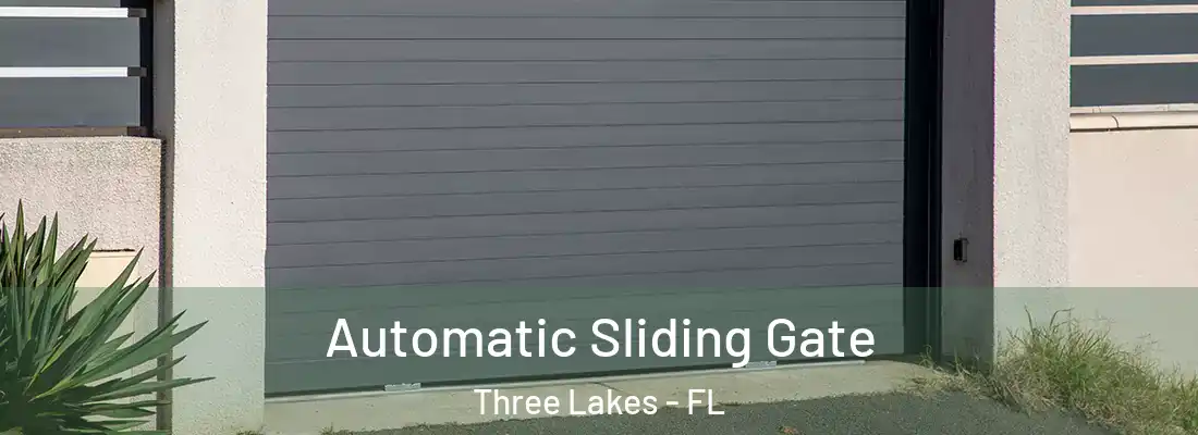  Automatic Sliding Gate Three Lakes - FL