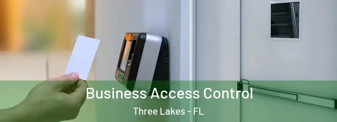  Business Access Control Three Lakes - FL