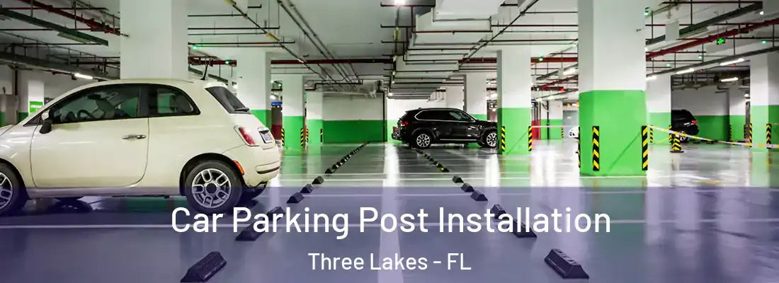  Car Parking Post Installation Three Lakes - FL