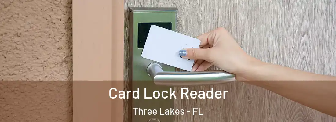  Card Lock Reader Three Lakes - FL