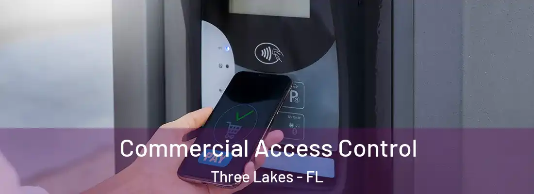  Commercial Access Control Three Lakes - FL