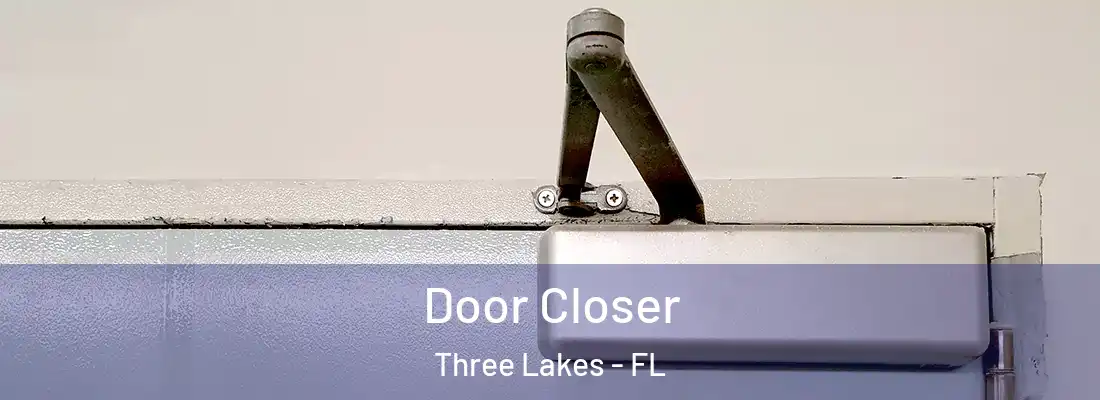  Door Closer Three Lakes - FL