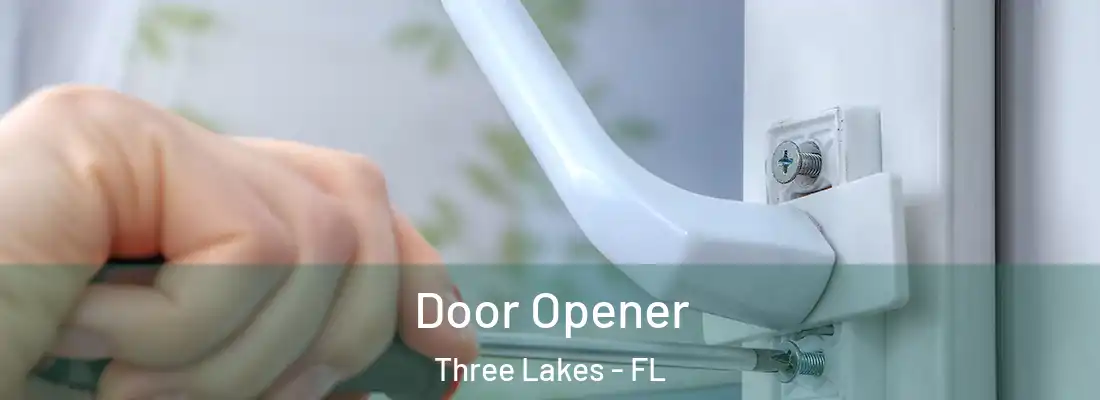  Door Opener Three Lakes - FL