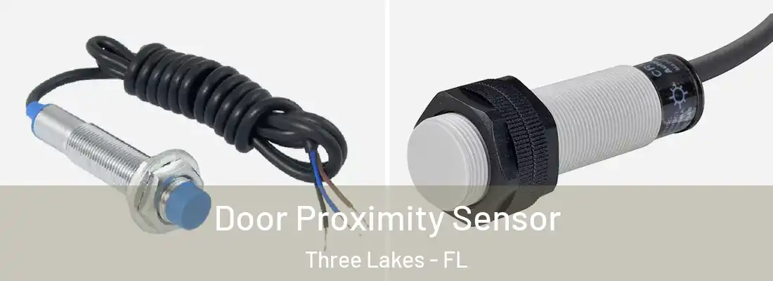  Door Proximity Sensor Three Lakes - FL