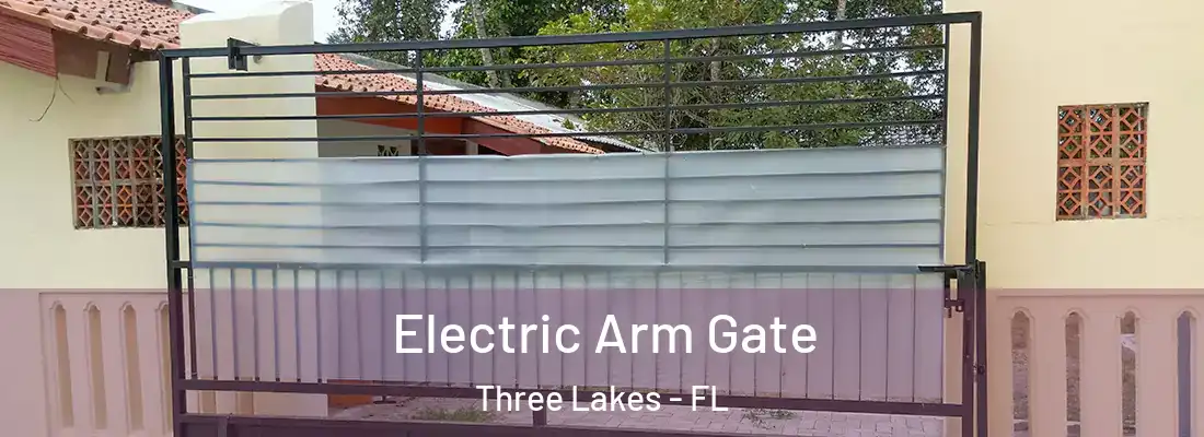  Electric Arm Gate Three Lakes - FL