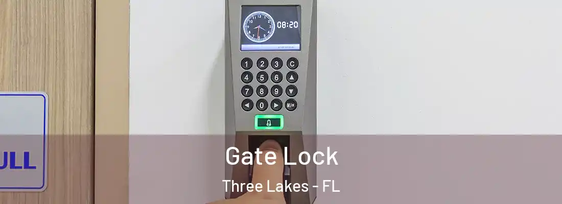  Gate Lock Three Lakes - FL
