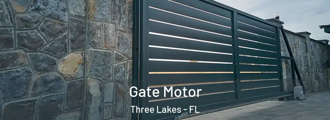  Gate Motor Three Lakes - FL