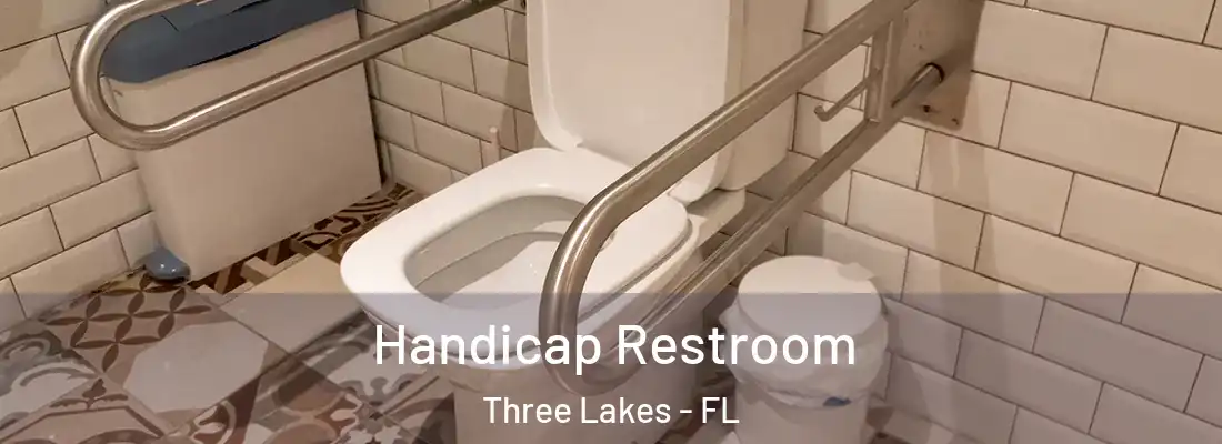  Handicap Restroom Three Lakes - FL