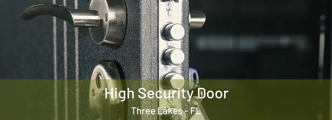  High Security Door Three Lakes - FL