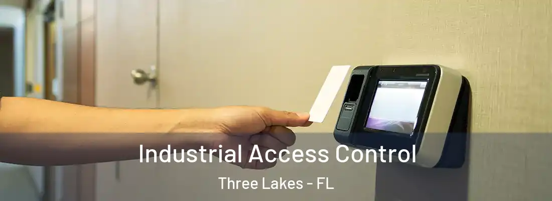  Industrial Access Control Three Lakes - FL