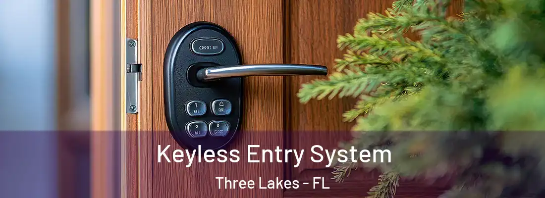  Keyless Entry System Three Lakes - FL