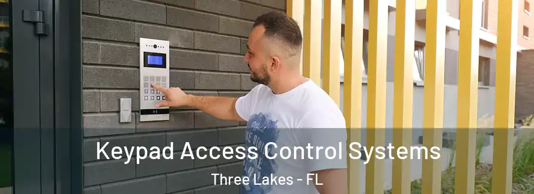  Keypad Access Control Systems Three Lakes - FL