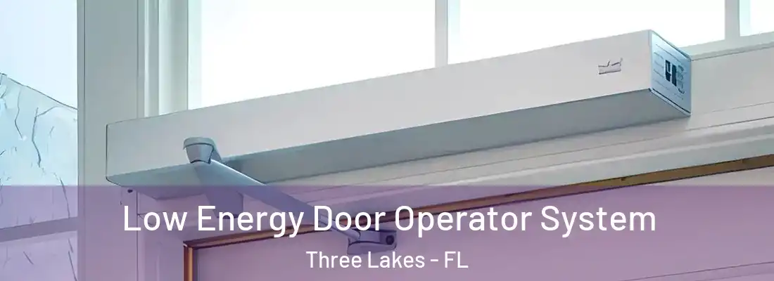  Low Energy Door Operator System Three Lakes - FL