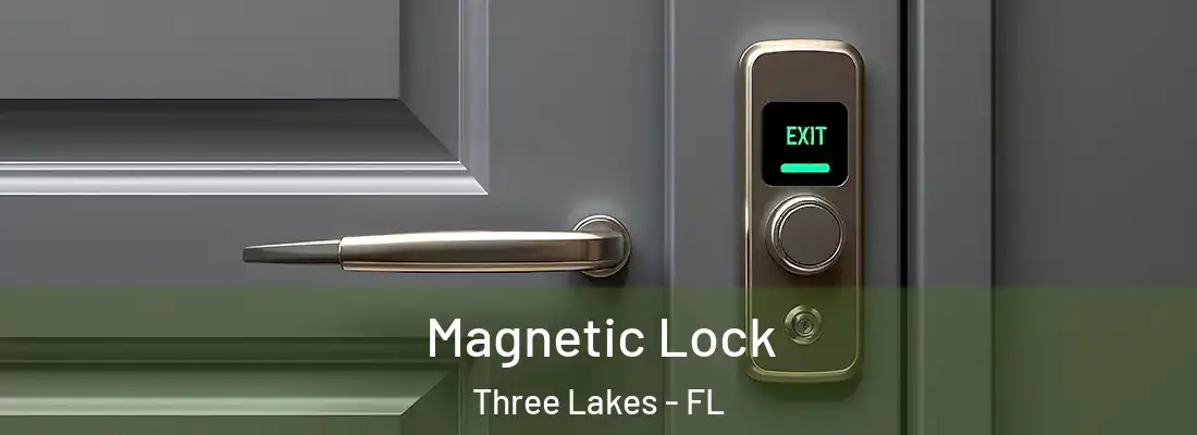  Magnetic Lock Three Lakes - FL