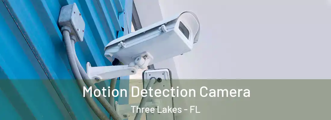  Motion Detection Camera Three Lakes - FL
