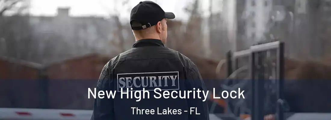  New High Security Lock Three Lakes - FL