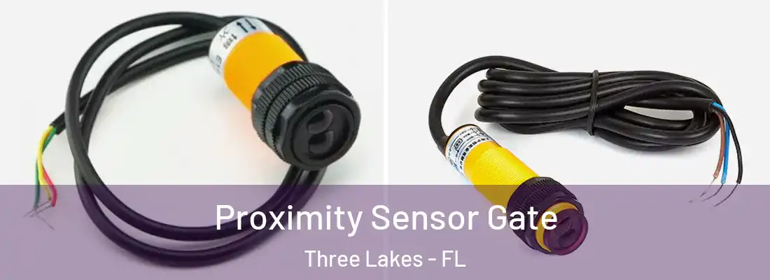  Proximity Sensor Gate Three Lakes - FL