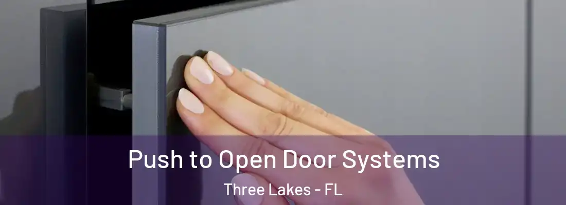  Push to Open Door Systems Three Lakes - FL