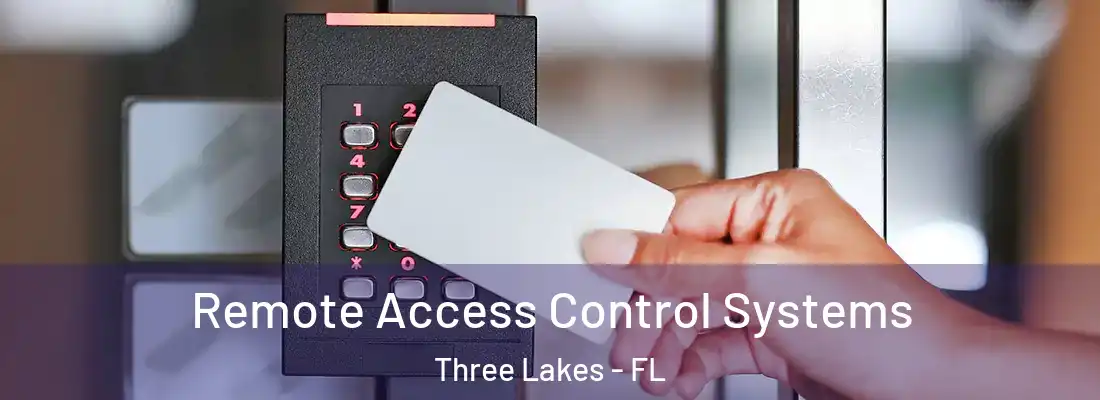  Remote Access Control Systems Three Lakes - FL