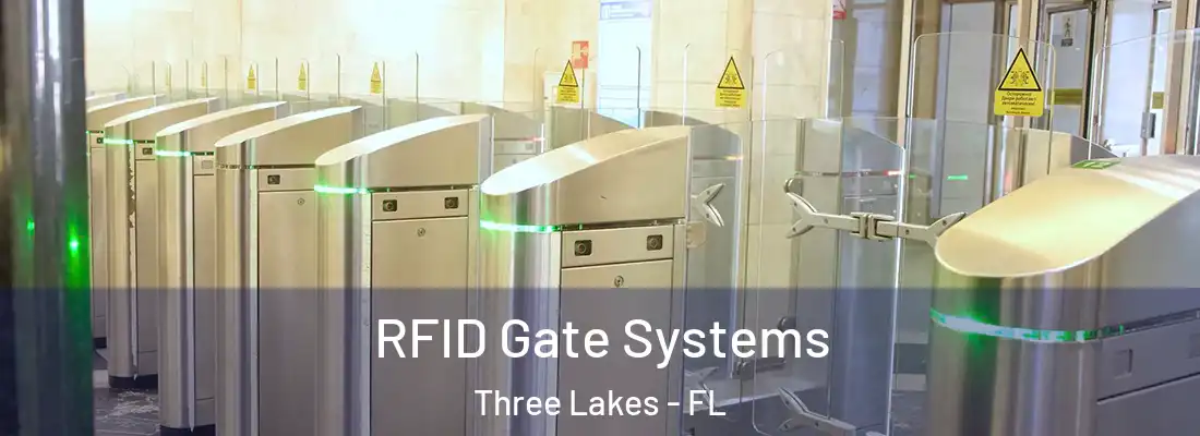  RFID Gate Systems Three Lakes - FL