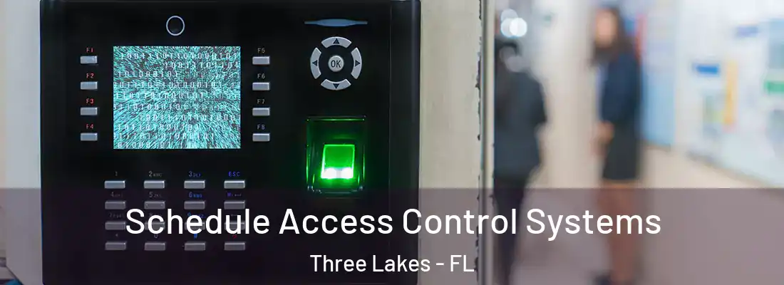  Schedule Access Control Systems Three Lakes - FL