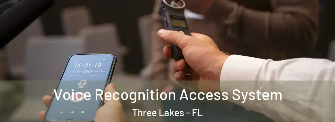  Voice Recognition Access System Three Lakes - FL